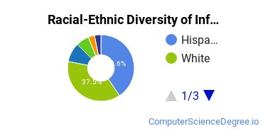 Racial-Ethnic Diversity of Information Technology Majors at Robert Morris University Illinois