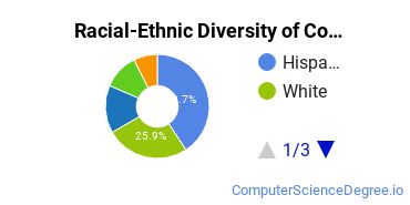 Racial-Ethnic Diversity of Computer Systems Networking and Telecommunications Majors at Robert Morris University Illinois