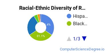 Racial-Ethnic Diversity of RMU Undergraduate Students