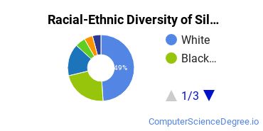 Racial-Ethnic Diversity of Silver Lake College Undergraduate Students