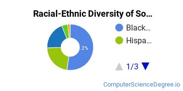Racial-Ethnic Diversity of South University, West Palm Beach Undergraduate Students
