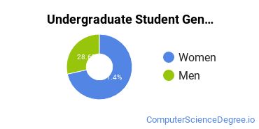 Undergraduate Student Gender Diversity at  Southern Tech