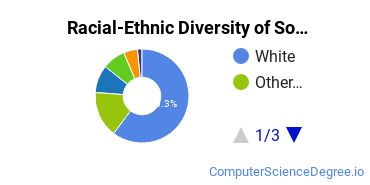 Racial-Ethnic Diversity of Southern Tech Undergraduate Students