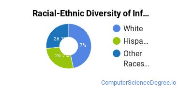 Racial-Ethnic Diversity of Information Technology Majors at St. Joseph's College - Long Island