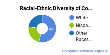 Racial-Ethnic Diversity of Computer Science Majors at St. Joseph's College - Long Island