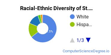 Racial-Ethnic Diversity of St. Joseph's College - Long Island Undergraduate Students