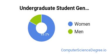 Undergraduate Student Gender Diversity at  Stautzenberger College-Maumee