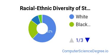 Racial-Ethnic Diversity of Stautzenberger College-Maumee Undergraduate Students