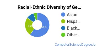 Racial-Ethnic Diversity of General Computer & Information Sciences Majors at Stevens - Henager College