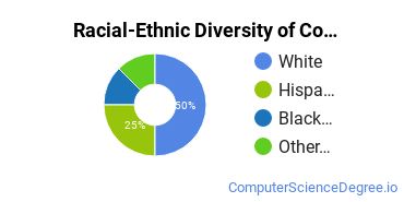 Racial-Ethnic Diversity of Computer Science Majors at Stevens - Henager College