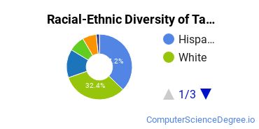 Racial-Ethnic Diversity of Tarrant County College Undergraduate Students