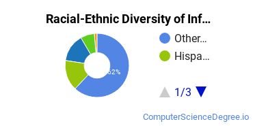 Racial-Ethnic Diversity of Information Technology Majors at Trident University International