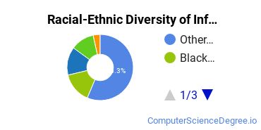 Racial-Ethnic Diversity of Information Technology Majors at Trident University International