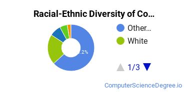 Racial-Ethnic Diversity of Computer Science Majors at Trident University International