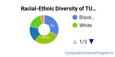 Racial-Ethnic Diversity of TUI Undergraduate Students