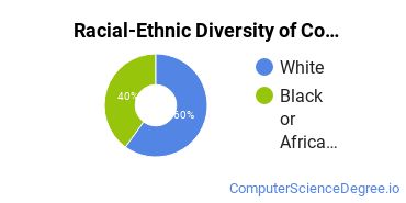 Racial-Ethnic Diversity of Computer Programming Majors at Tulane University of Louisiana