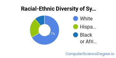 Racial-Ethnic Diversity of System, Networking, & LAN/WAN Management/Manager Majors at SUNY Ulster