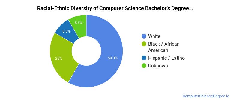 Computer Science Diversity The Computer Science Major at University of Advancing Technology ...