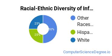 Racial-Ethnic Diversity of Information Science Majors at University of Advancing Technology