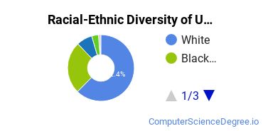 Racial-Ethnic Diversity of UAM Undergraduate Students