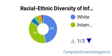 Racial-Ethnic Diversity of Information Science Majors at University of Cincinnati - Main Campus