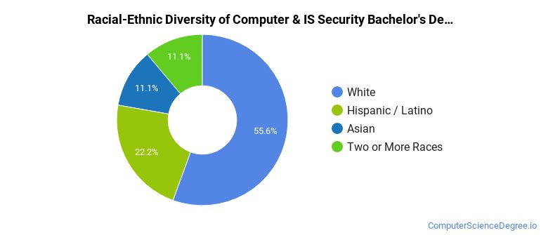 Racial-ethnic diversity of Computer & IS Security majors at University of Colorado Colorado Springs