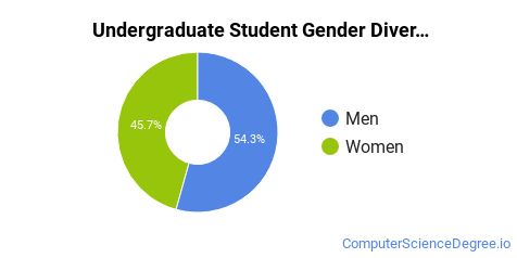 undergraduate ethnic