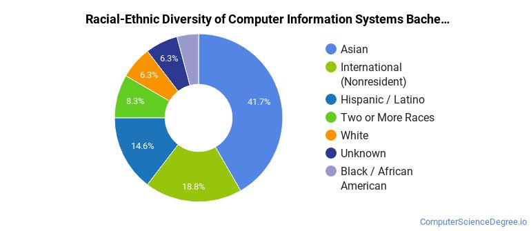 Computer Science Diversity The Computer Information Systems Major at University of Illinois ...