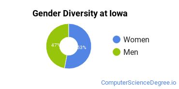 Undergraduate Gender Diversity at Iowa