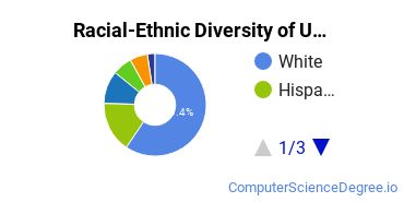 Racial-Ethnic Diversity of UNF Undergraduate Students