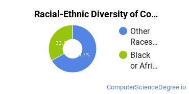 Racial-Ethnic Diversity of Computer Systems Networking and Telecommunications Majors at University of Phoenix - California