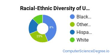 Racial-Ethnic Diversity of UOPX - Illinois Undergraduate Students