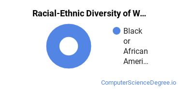 Racial-Ethnic Diversity of Web/Multimedia Management & Webmaster Majors at University of Phoenix - Florida