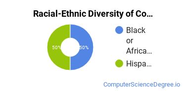 Racial-Ethnic Diversity of Computer Systems Networking and Telecommunications Majors at University of Phoenix - Georgia
