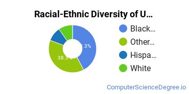 Racial-Ethnic Diversity of UOPX - Georgia Undergraduate Students