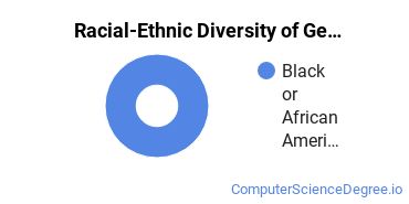 Racial-Ethnic Diversity of General Computer Programming Majors at University of Phoenix - New Jersey