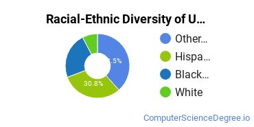 Racial-Ethnic Diversity of UOPX - New Jersey Undergraduate Students