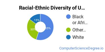 Racial-Ethnic Diversity of UOPX - Michigan Undergraduate Students