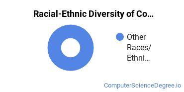 Racial-Ethnic Diversity of Computer Information Systems Majors at University of Phoenix - Utah