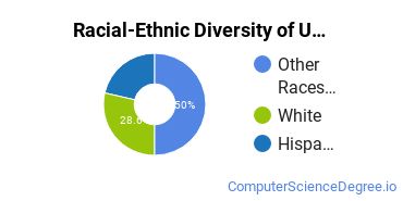 Racial-Ethnic Diversity of UOPX - Utah Undergraduate Students