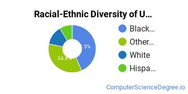 Racial-Ethnic Diversity of UOPX - Virginia Undergraduate Students