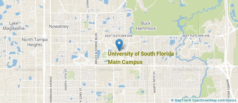 University of South Florida - Main Campus Computer Science Majors