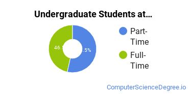  Full-Time vs. Part-Time Undergraduate Students at  USF Sarasota-Manatee