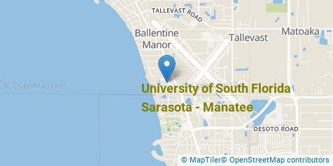 University of South Florida Sarasota-Manatee Computer Science Majors