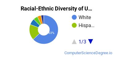 Racial-Ethnic Diversity of USF Sarasota-Manatee Undergraduate Students