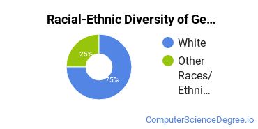 Racial-Ethnic Diversity of General Computer Programming Majors at Vatterott College-St Charles