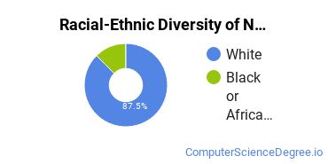 Racial-Ethnic Diversity of Network & System Administration/Administrator Majors at Vatterott College - Sunset Hills