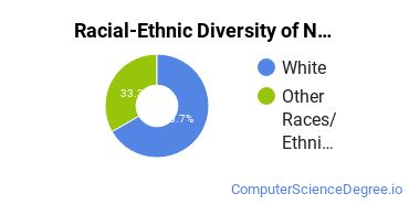 Racial-Ethnic Diversity of Network & System Administration/Administrator Majors at Vatterott College - Sunset Hills