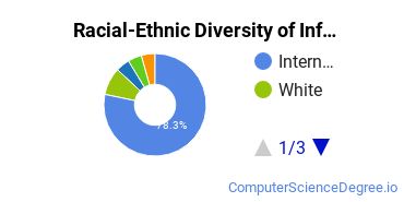 Racial-Ethnic Diversity of Information Technology Project Management Majors at Wilmington University