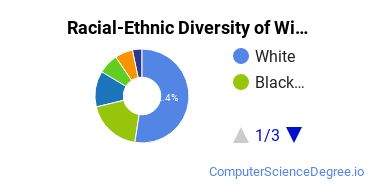 Racial-Ethnic Diversity of Wilmington University Undergraduate Students